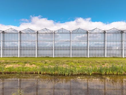 Data bij Wageningen Universiteit & Research (WUR)