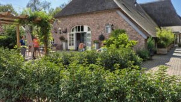 Verslag Newspark Trainingweekend